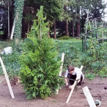 Landscape Design Patios NY