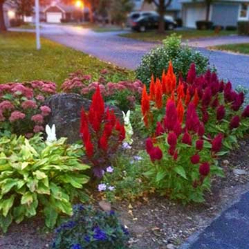 Landscape Design Patios NY