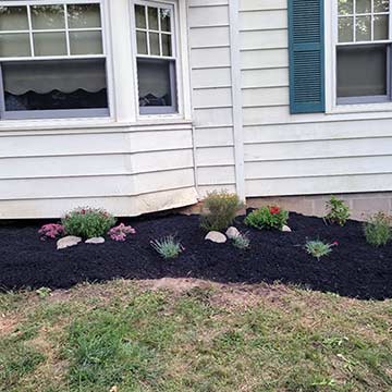 Mulched Garden