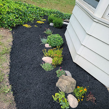 Mulched Garden